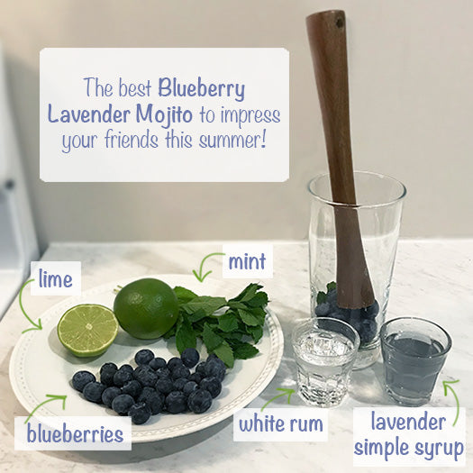 Blueberry Lavender Cocktail the best summer cocktail or mocktail by SwimZip