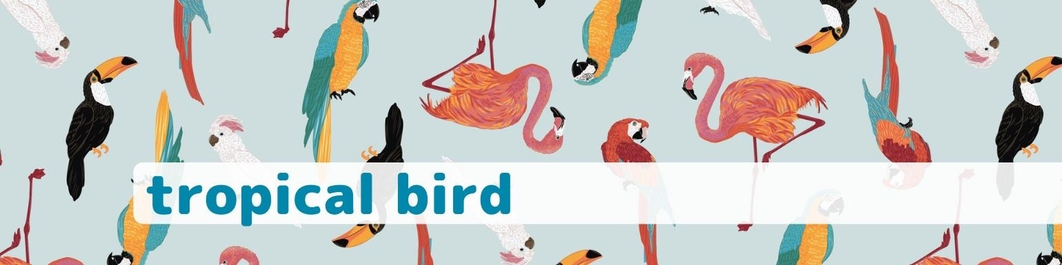 Boys Bird Print Swimwear