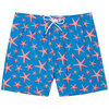 Starfish