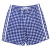 Navy Gingham