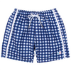 Navy Gingham