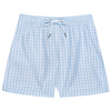 Blue Gingham