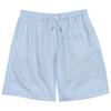 Blue Gingham