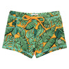The Tropics