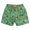 The Tropics