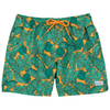 The Tropics