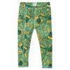 The Tropics