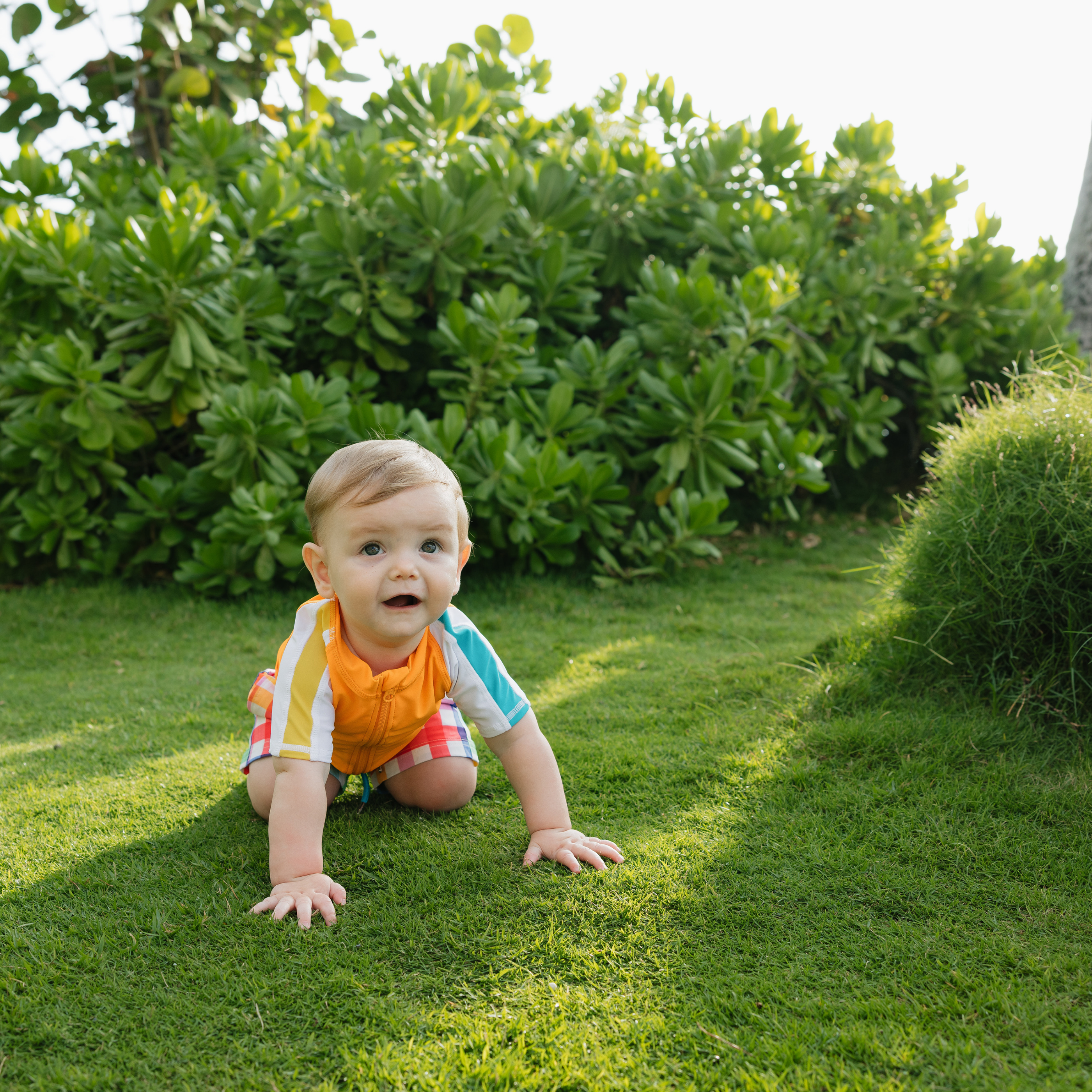 Boys Short Sleeve Zipper Rash Guard and Swim Trunk Set | "Picnic Party"-SwimZip UPF 50+ Sun Protective Swimwear & UV Zipper Rash Guards-pos3