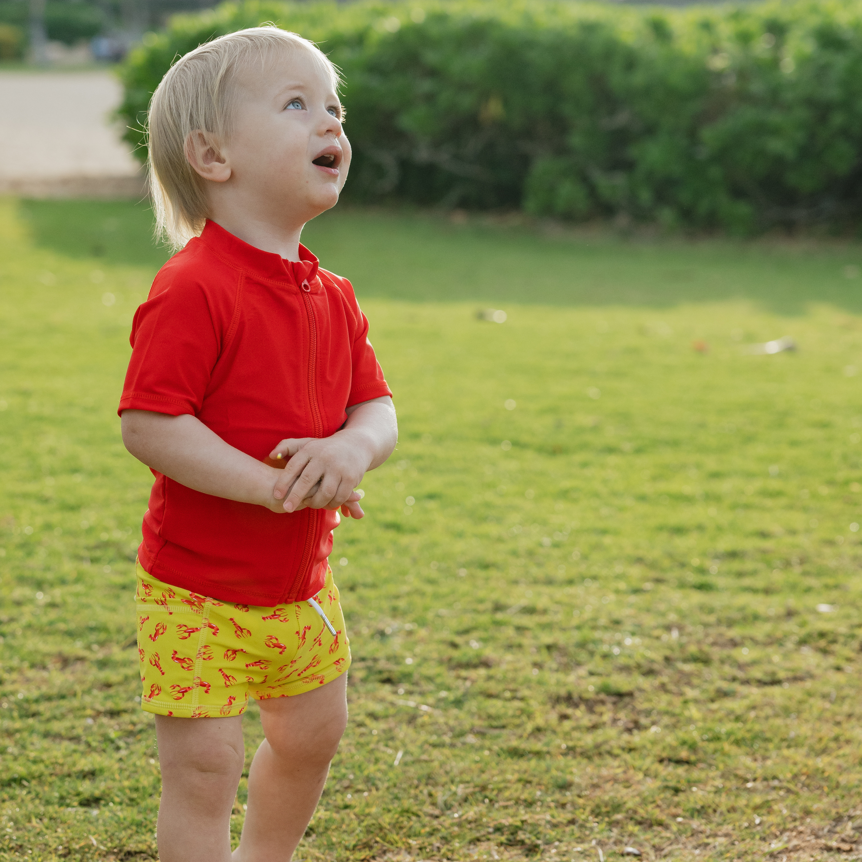 Kids Euro Swim Shorties | "Lobster"-SwimZip UPF 50+ Sun Protective Swimwear & UV Zipper Rash Guards-pos3